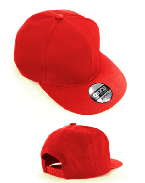 GRACE COLLECTION AH950 EXHIBIT CAP